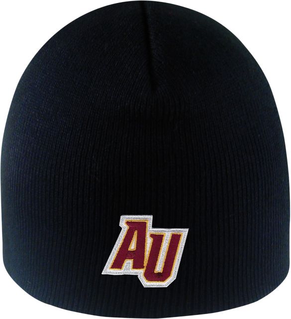 Alvernia University E