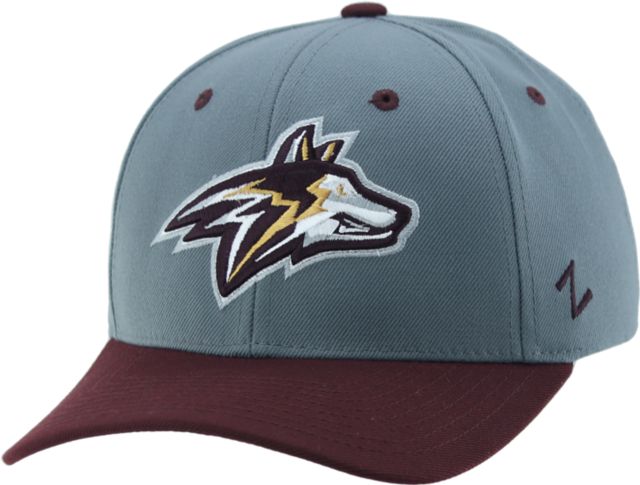 Alvernia University Golden Wolves Adjustable Performance Cap